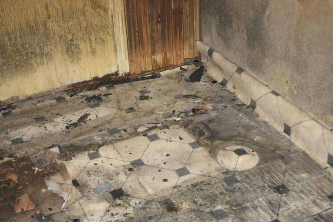 Savanoriai valė sudegusią gyvūnų prieglaudą