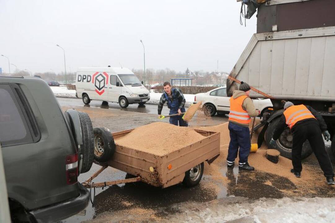 Mokyklos gatvę nusėjo į uostą gabenti grūdai