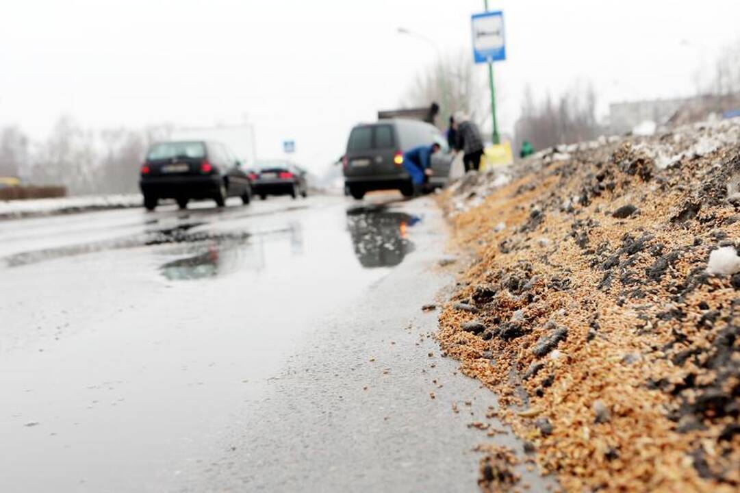 Mokyklos gatvę nusėjo į uostą gabenti grūdai