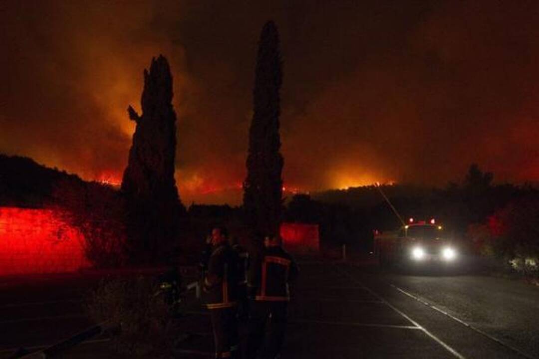Izraelyje siaučiantys miškų gaisrai nusinešė 41 žmogaus gyvybę (papildyta)