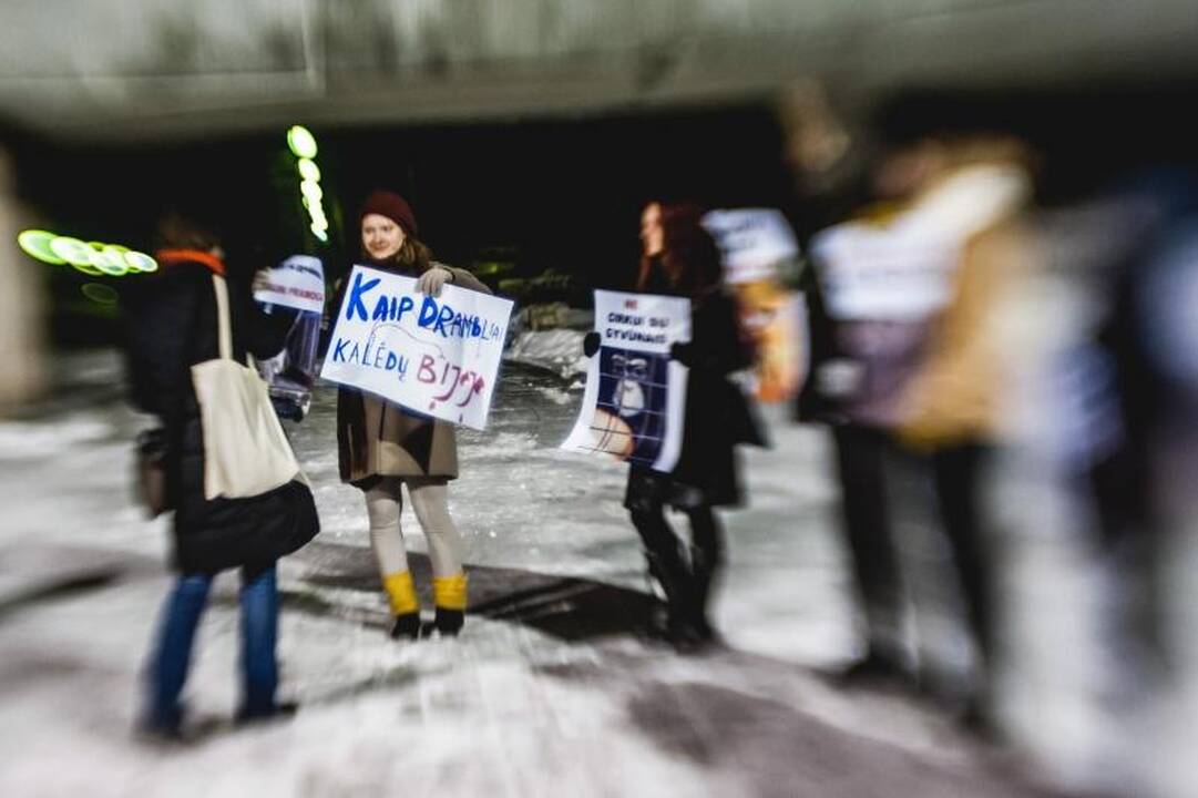 Nepaisant protestų, Kaune drambliai šoko „Gangnam style“ ritmu
