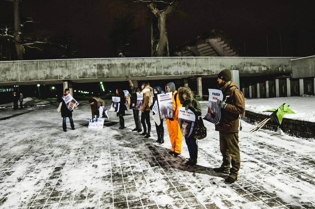 Nepaisant protestų, Kaune drambliai šoko „Gangnam style“ ritmu