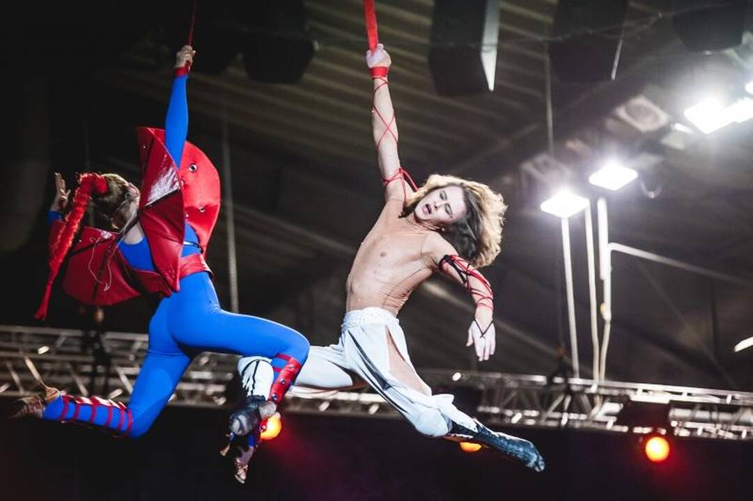 Nepaisant protestų, Kaune drambliai šoko „Gangnam style“ ritmu