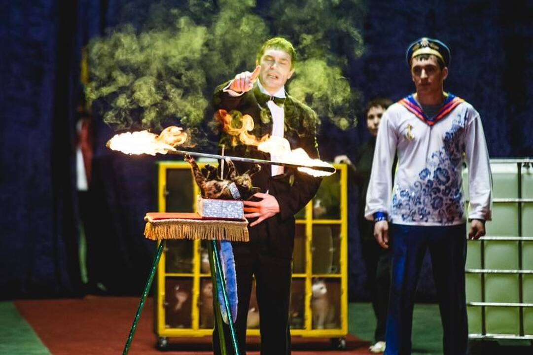 Nepaisant protestų, Kaune drambliai šoko „Gangnam style“ ritmu