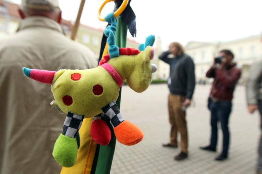 Po įvykių Garliavoje – mitingas prie Prezidentūros