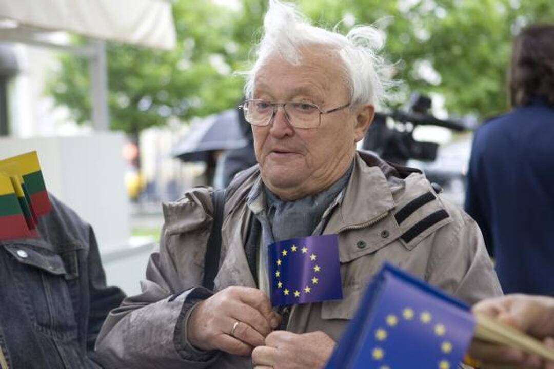 A.Čekuolis: reikia balsuoti, kad durniai nepatektų į EP