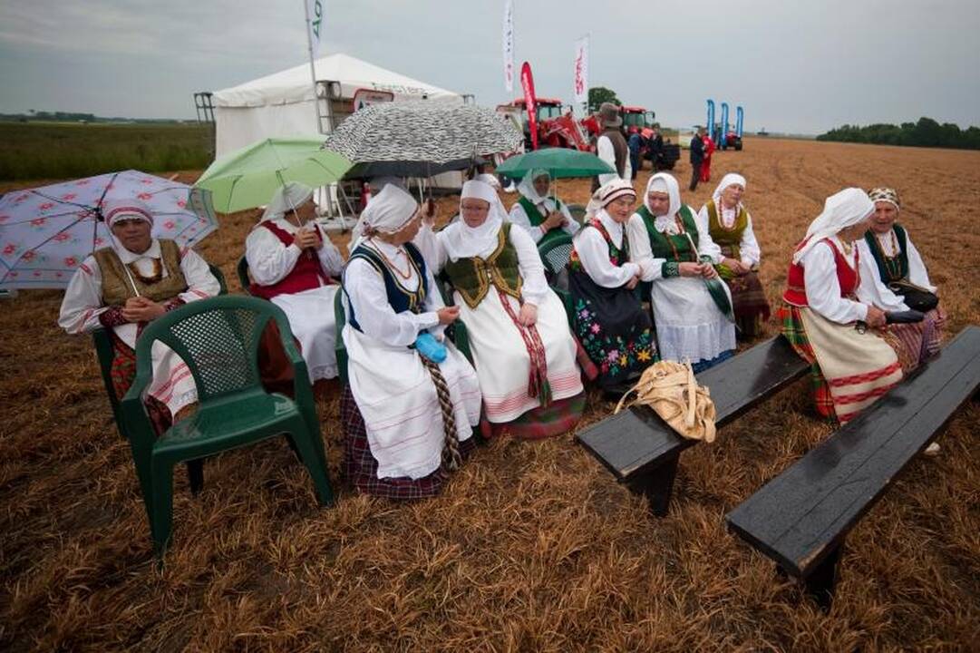 Kuris Kauno rajono artojas yra geriausias?