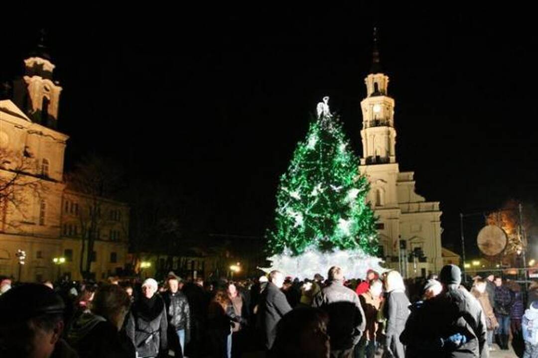 Sužibo Kauno Rotušės aikštės kalėdinė eglė
