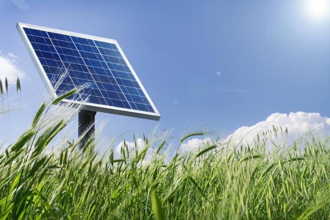 Lietuvoje sulauksime vaistažolių derliaus, džiovinto saulės energija