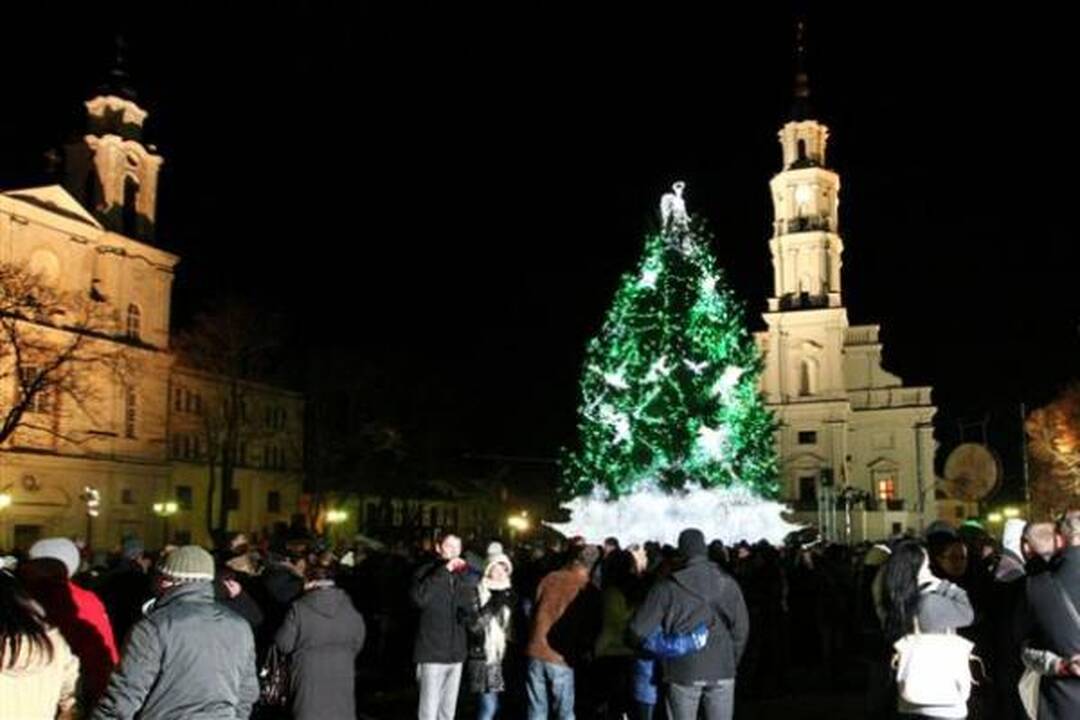 Sužibo Kauno Rotušės aikštės kalėdinė eglė