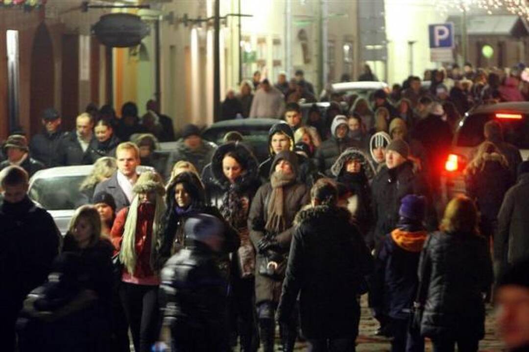 Sužibo Kauno Rotušės aikštės kalėdinė eglė