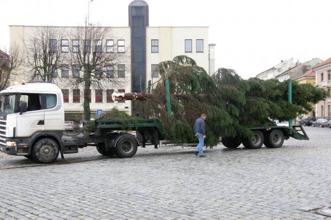 Į Teatro aikštę atvežta kalėdinė eglė