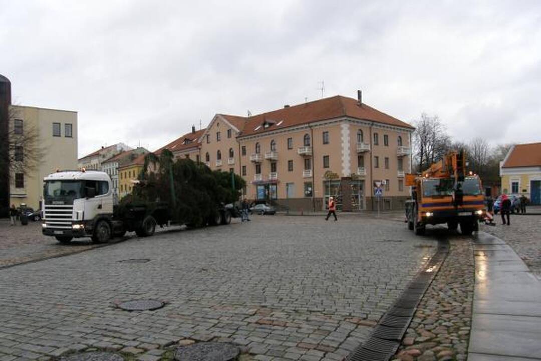 Į Teatro aikštę atvežta kalėdinė eglė