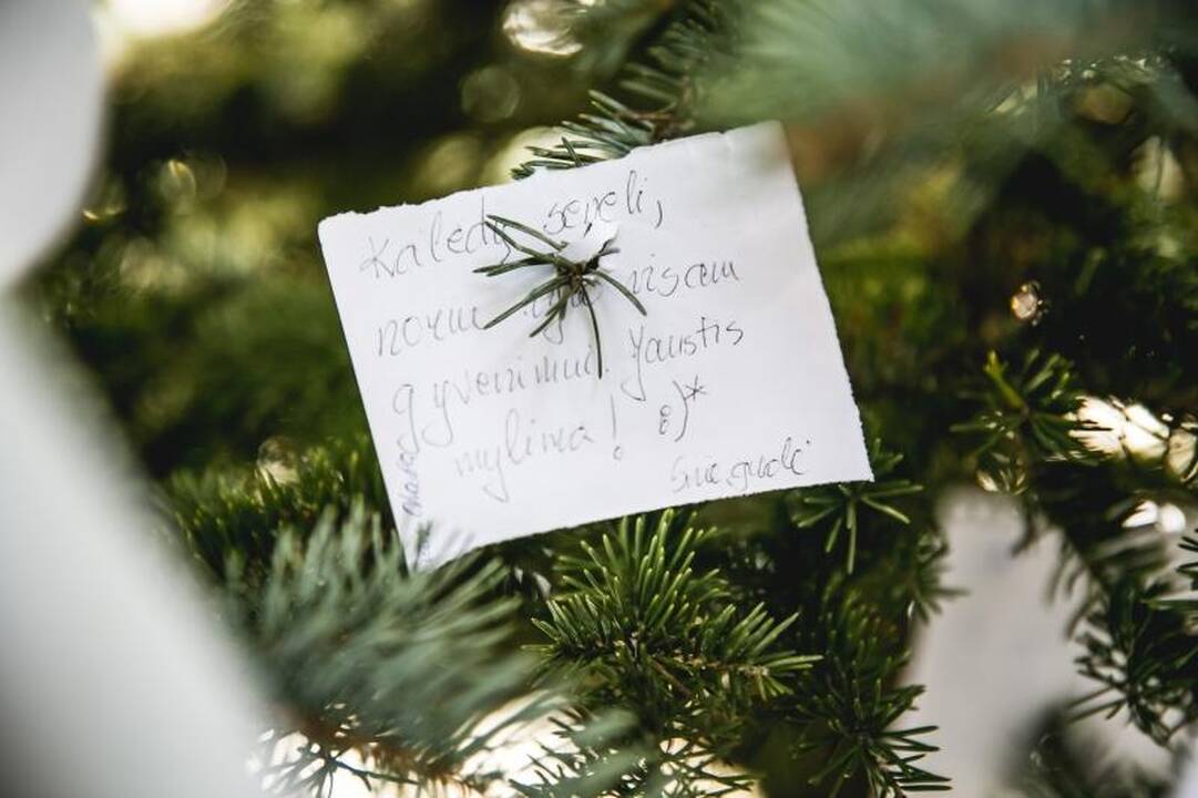 Ant auksinės eglės – daugiausia prašymų sulaukti meilės ir vaikų
