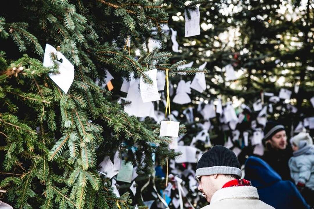 Ant auksinės eglės – daugiausia prašymų sulaukti meilės ir vaikų