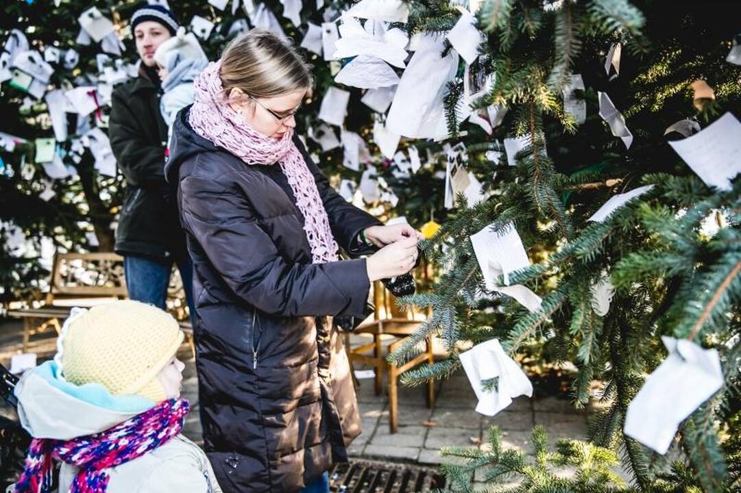 Ant auksinės eglės – daugiausia prašymų sulaukti meilės ir vaikų