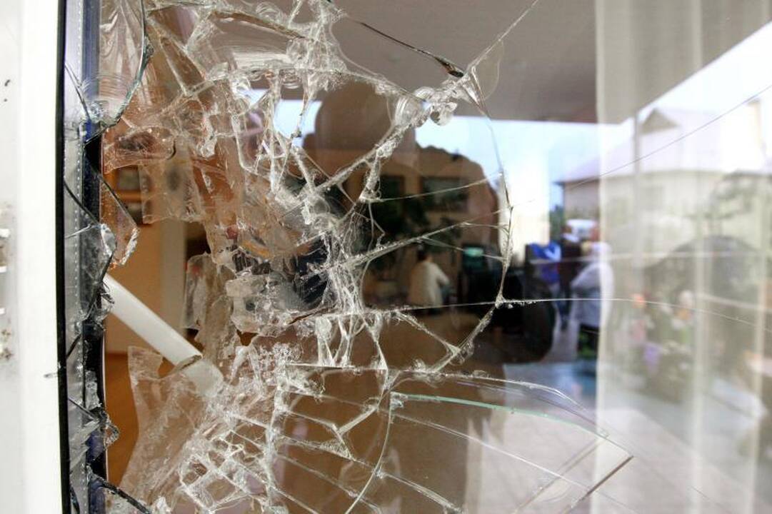 Skelbiama, kad mergaitės būklė stabili, N.Venckienė kalba apie vaistus