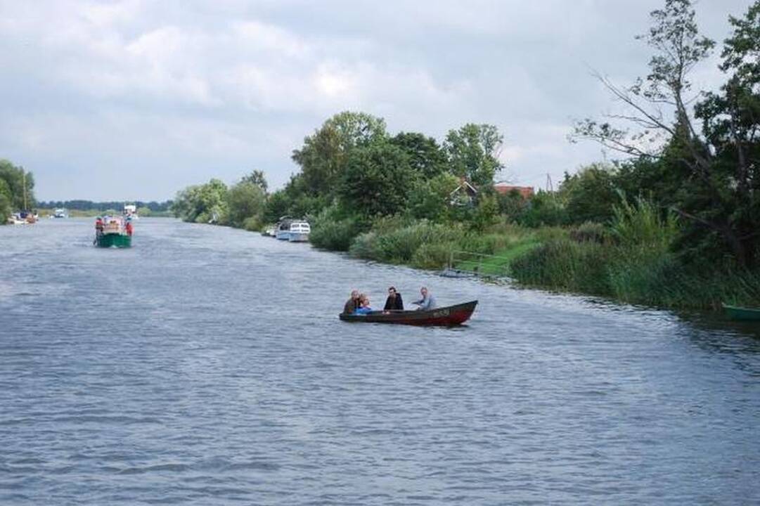 Už iškirstus medžius Mingės kaime teks sumokėti pusę milijono litų