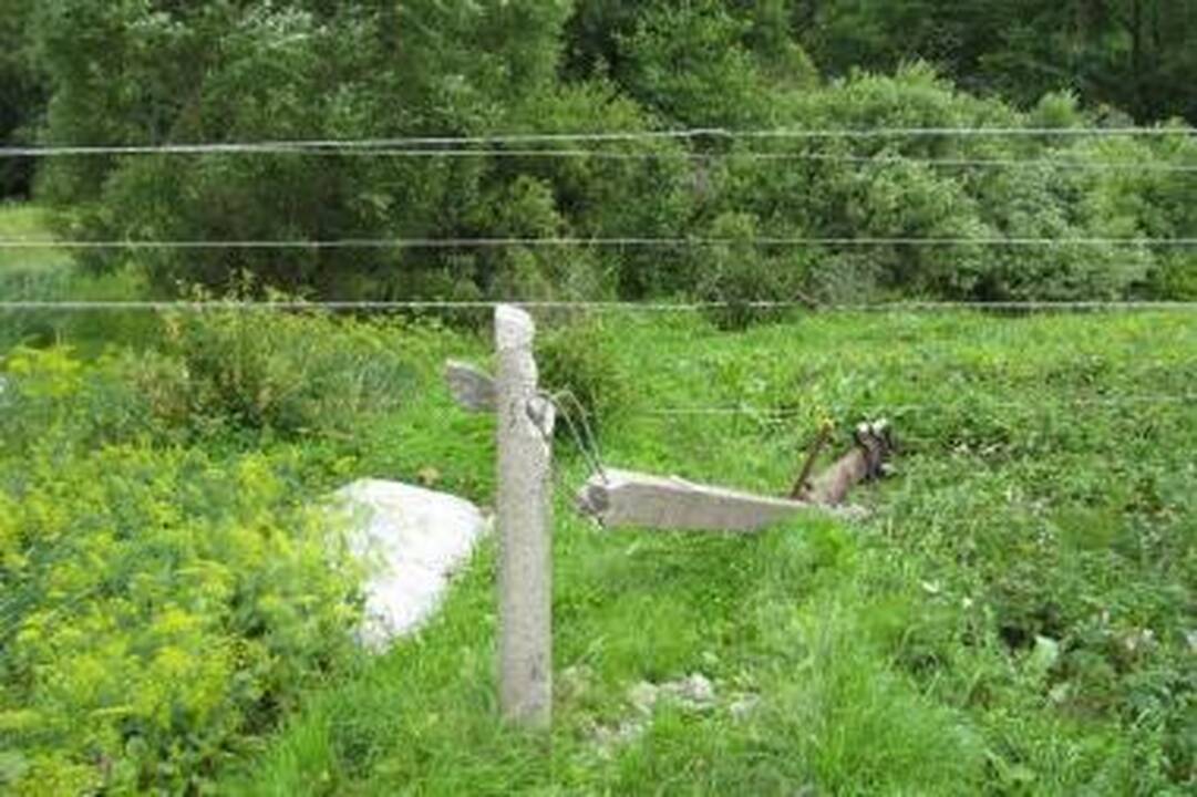 Patarimai, kaip elgtis griaudžiant perkūnijai ir žaibuojant