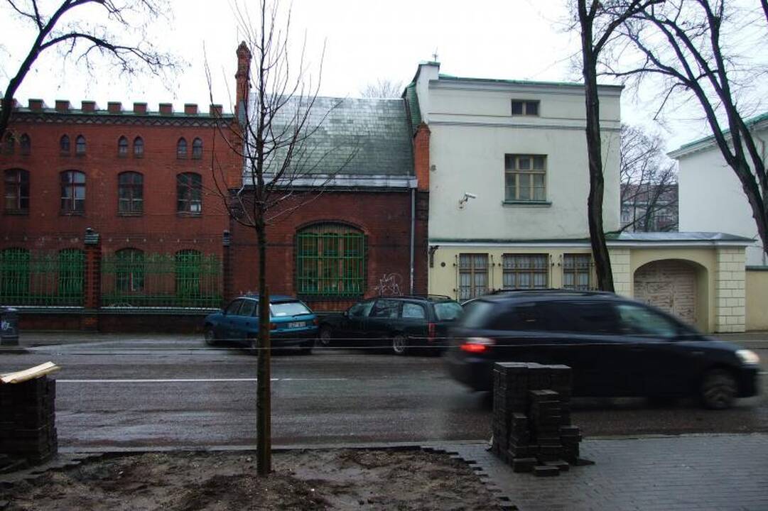 Senosios Liepų gatvės liepos jau pradėtos keisti naujomis