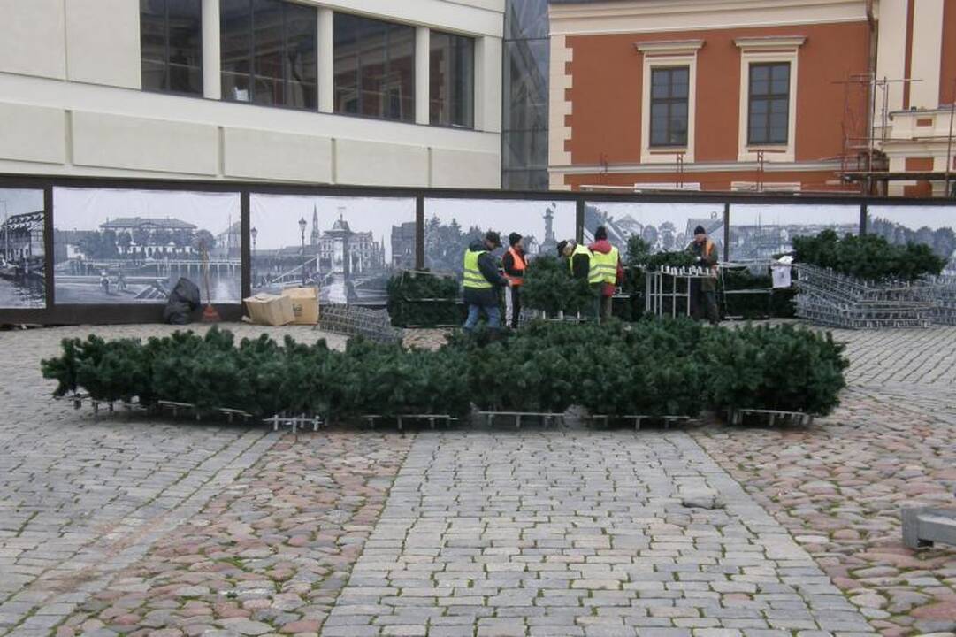 Klaipėdos Teatro aikštėje pradėjo kilti Kalėdų eglutė