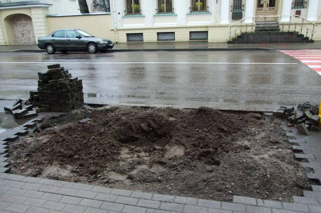 Senosios Liepų gatvės liepos jau pradėtos keisti naujomis