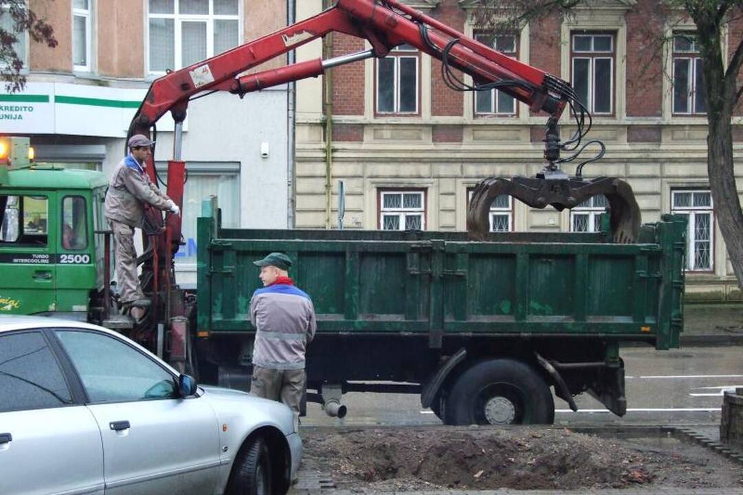 Senosios Liepų gatvės liepos jau pradėtos keisti naujomis