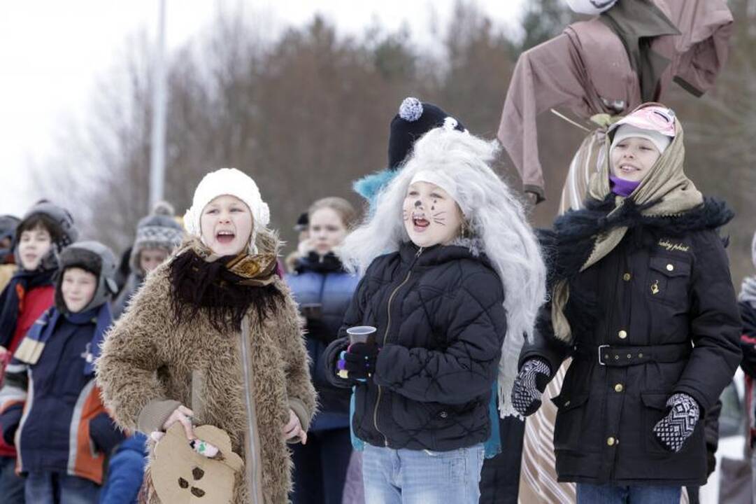 Daugiabučių kiemuose – konkursai, Lašininio bei Kanapinio kovos