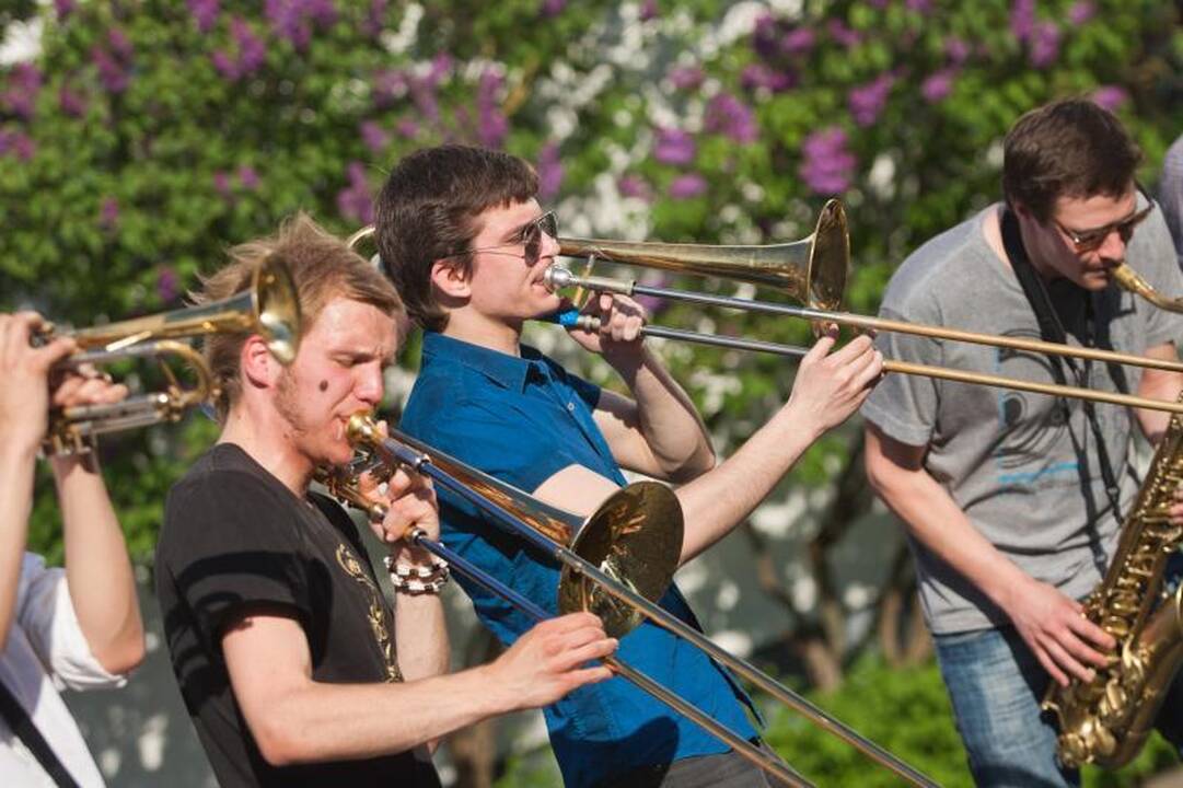 Gatvės muzikos diena: nuo dūdelių iki flamenko 