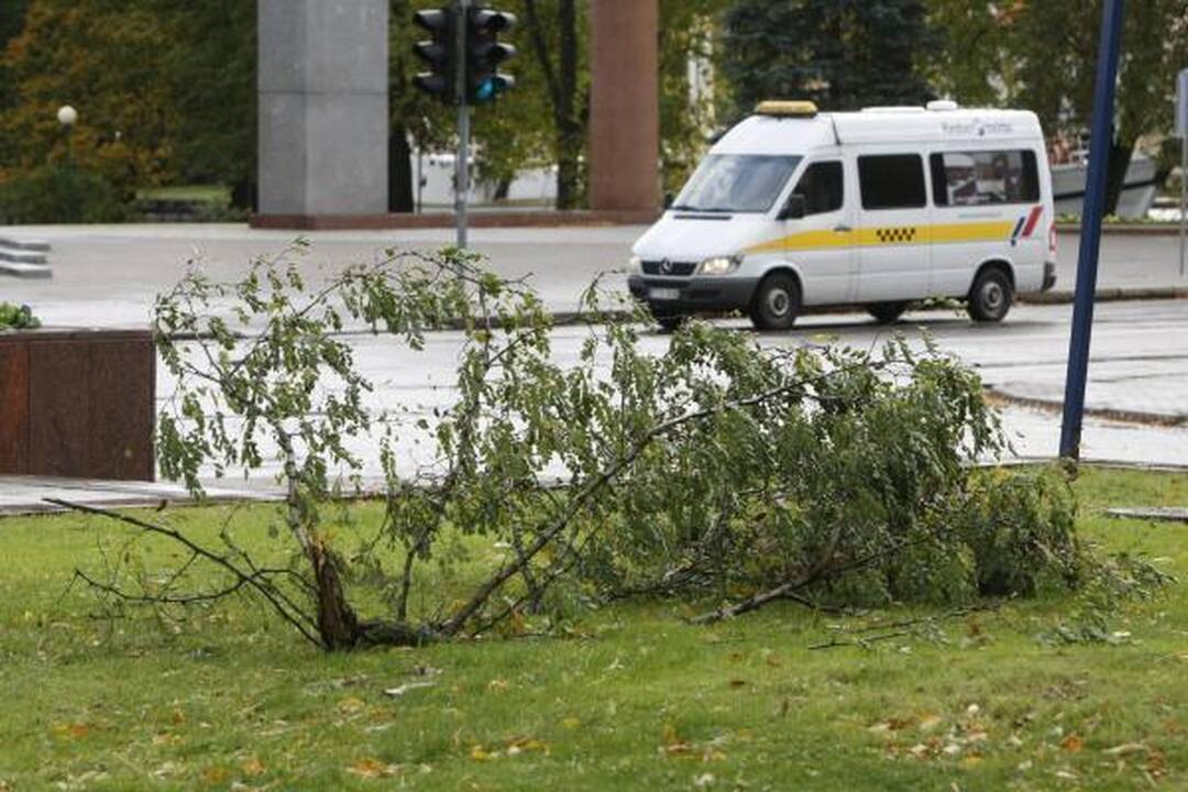Siaučiantis stiprus vėjas laužė medžius, užverstas vienas automobilis