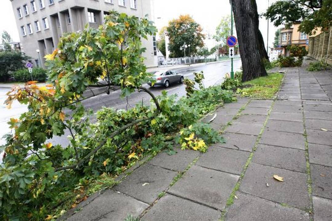 Siaučiantis stiprus vėjas laužė medžius, užverstas vienas automobilis