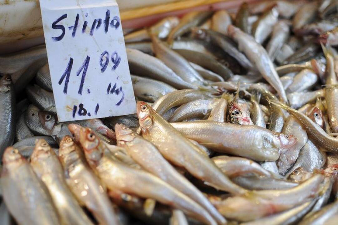 Sostinės turguose – šviežios žuvies metas