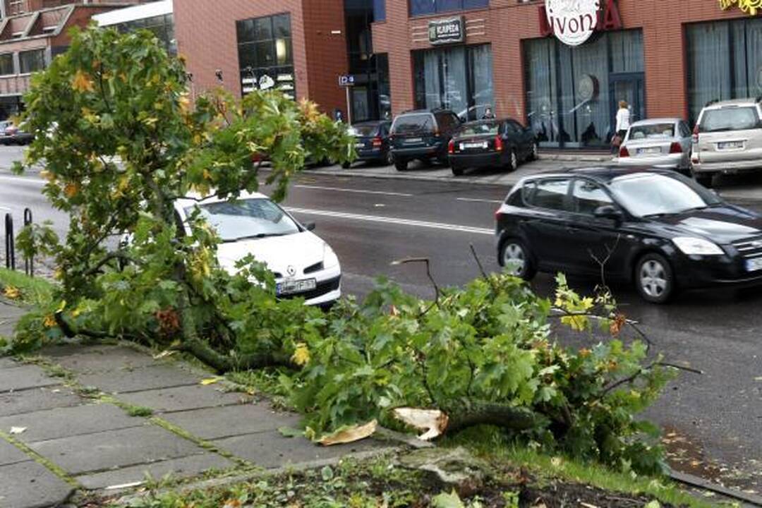 Siaučiantis stiprus vėjas laužė medžius, užverstas vienas automobilis