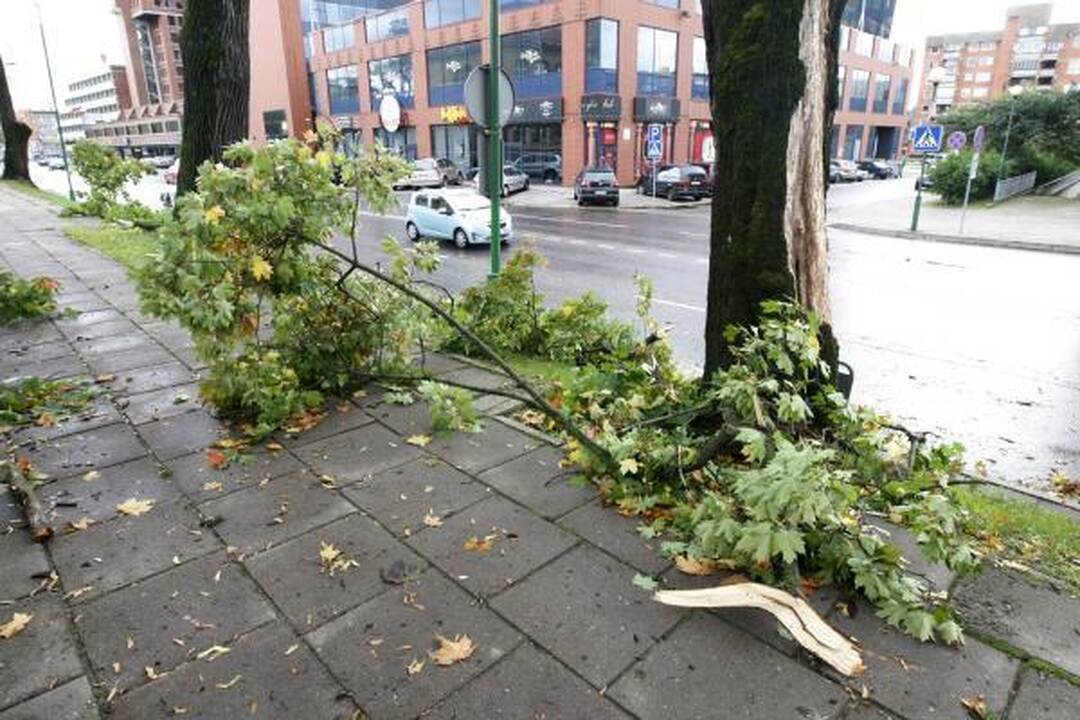 Siaučiantis stiprus vėjas laužė medžius, užverstas vienas automobilis