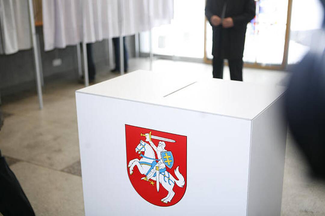 Prezidentei nebuvo sunku apsispręsti, už ką atiduoti savo balsą (papildyta)