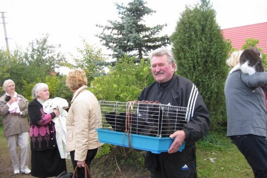Užsienio veterinarai Klaipėdoje sterilizavo 268 gyvūnus