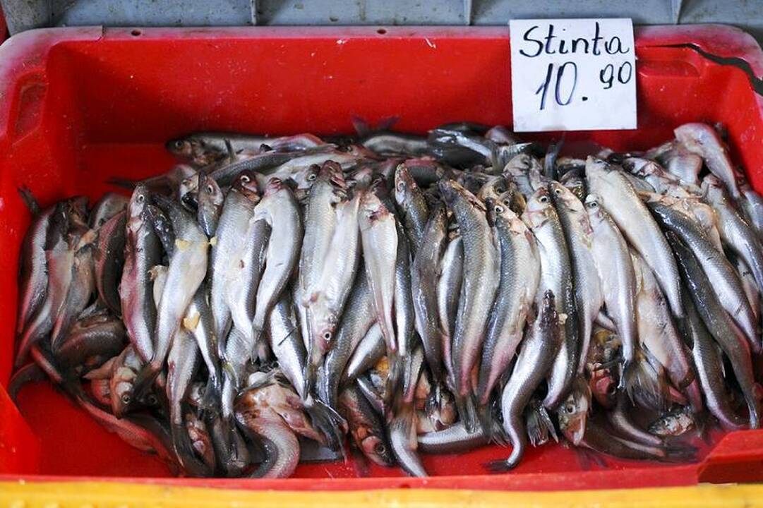 Sostinės turguose – šviežios žuvies metas