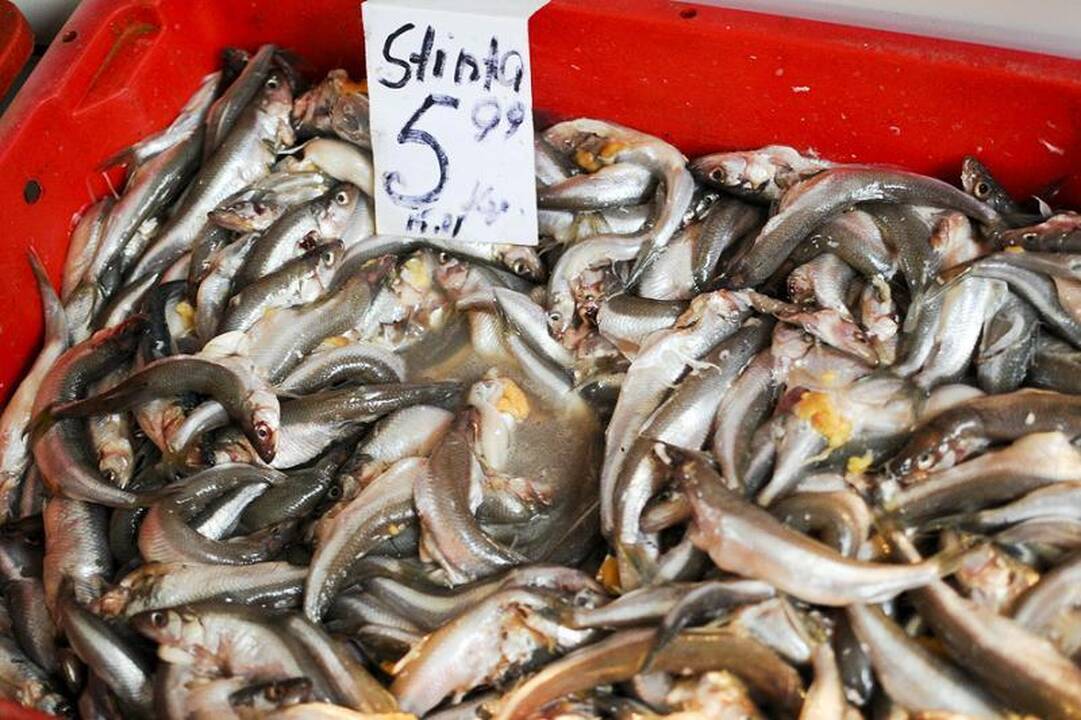 Sostinės turguose – šviežios žuvies metas