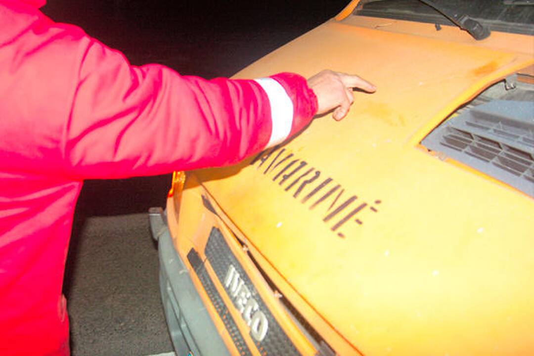 Nemenčinės plente moteris šoko po apšvietimo tinklų darbuotojų ratais