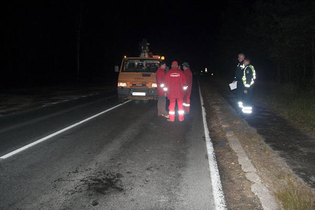 Nemenčinės plente moteris šoko po apšvietimo tinklų darbuotojų ratais