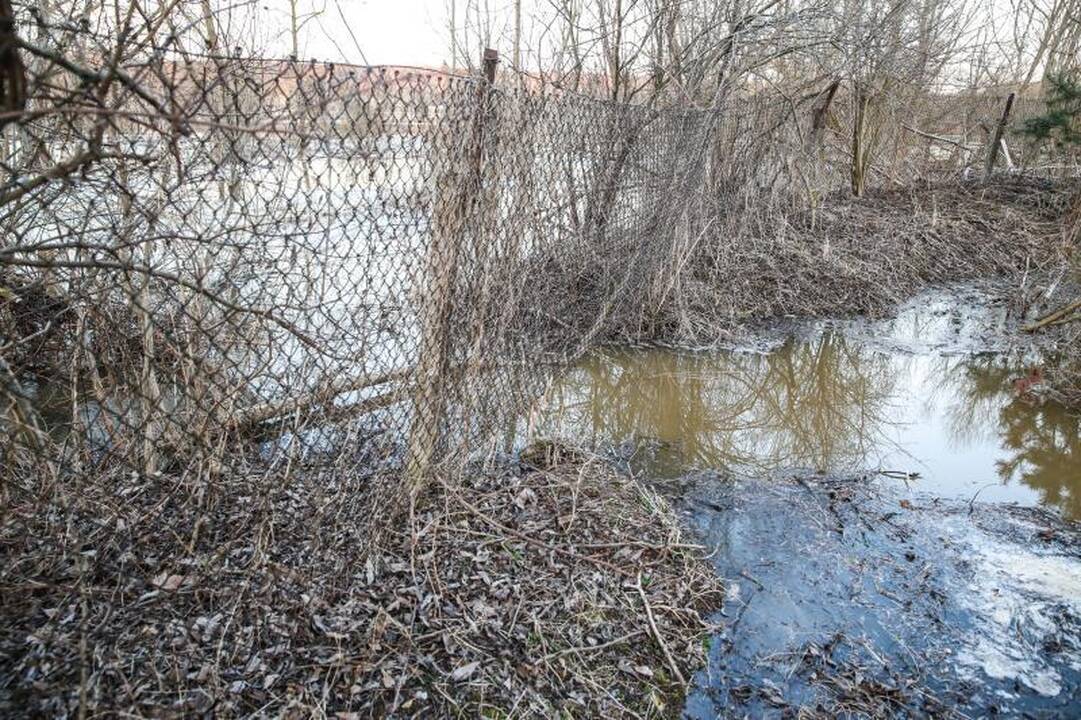 Pralaužęs pylimą Kauno rajone Nevėžis užliejo sodybas