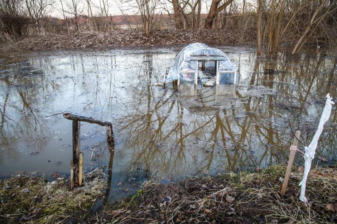 Pralaužęs pylimą Kauno rajone Nevėžis užliejo sodybas