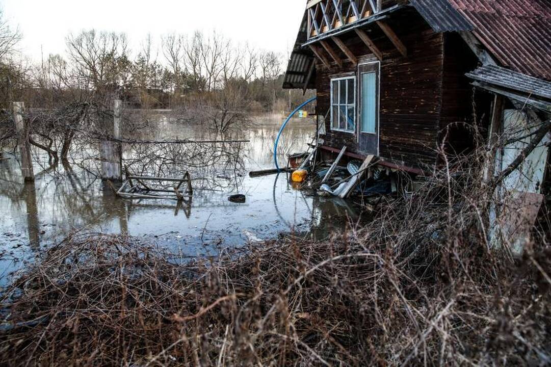 Pralaužęs pylimą Kauno rajone Nevėžis užliejo sodybas