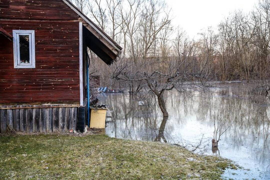 Pralaužęs pylimą Kauno rajone Nevėžis užliejo sodybas