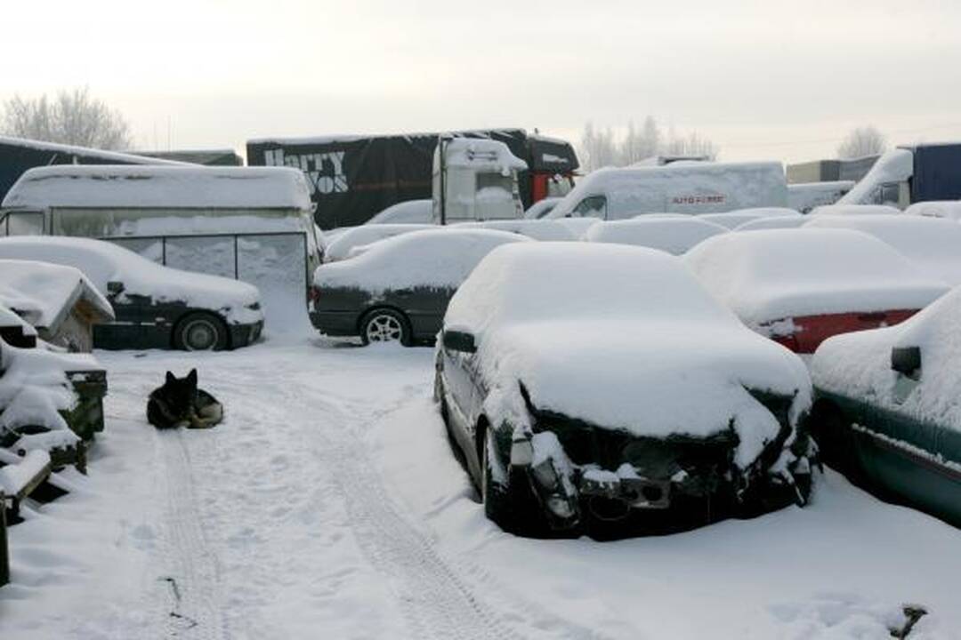Sulaikyti automobiliai atgaline data parduodami neegzistuojantiems asmenims
