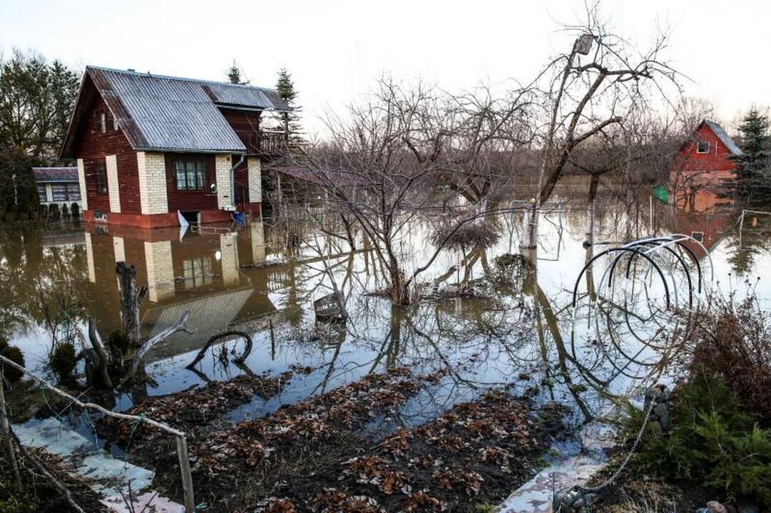 Pralaužęs pylimą Kauno rajone Nevėžis užliejo sodybas