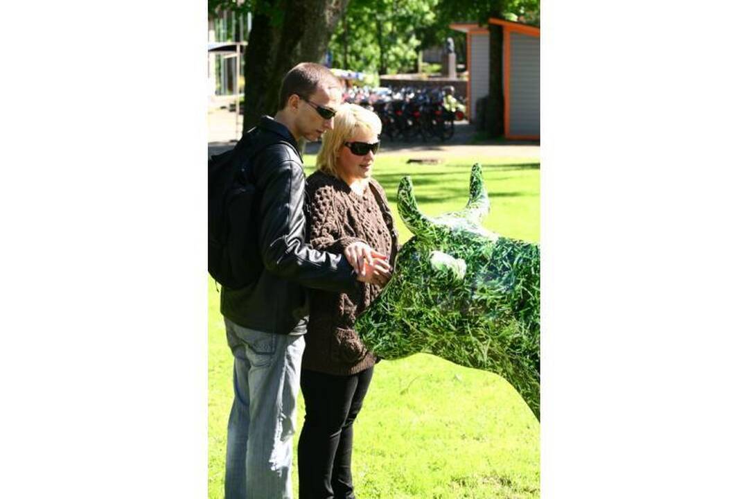 Palangos gatvėmis riedėjo spalvinga karvė