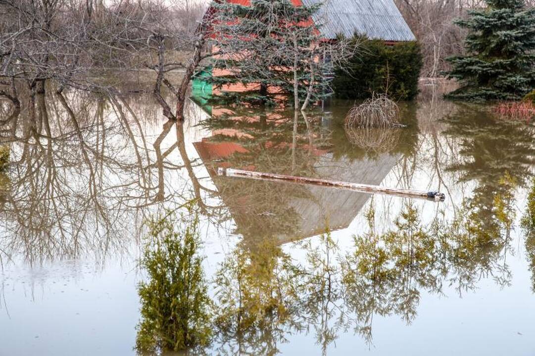 Pralaužęs pylimą Kauno rajone Nevėžis užliejo sodybas