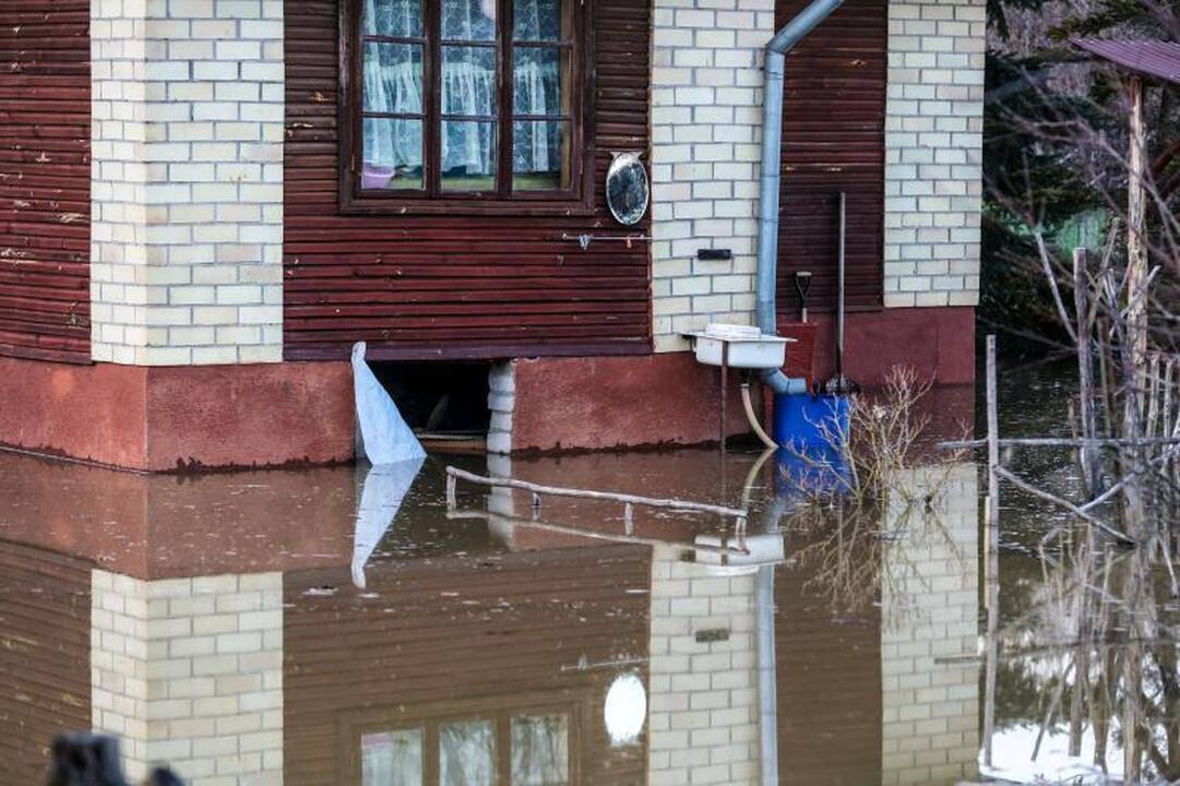 Pralaužęs pylimą Kauno rajone Nevėžis užliejo sodybas