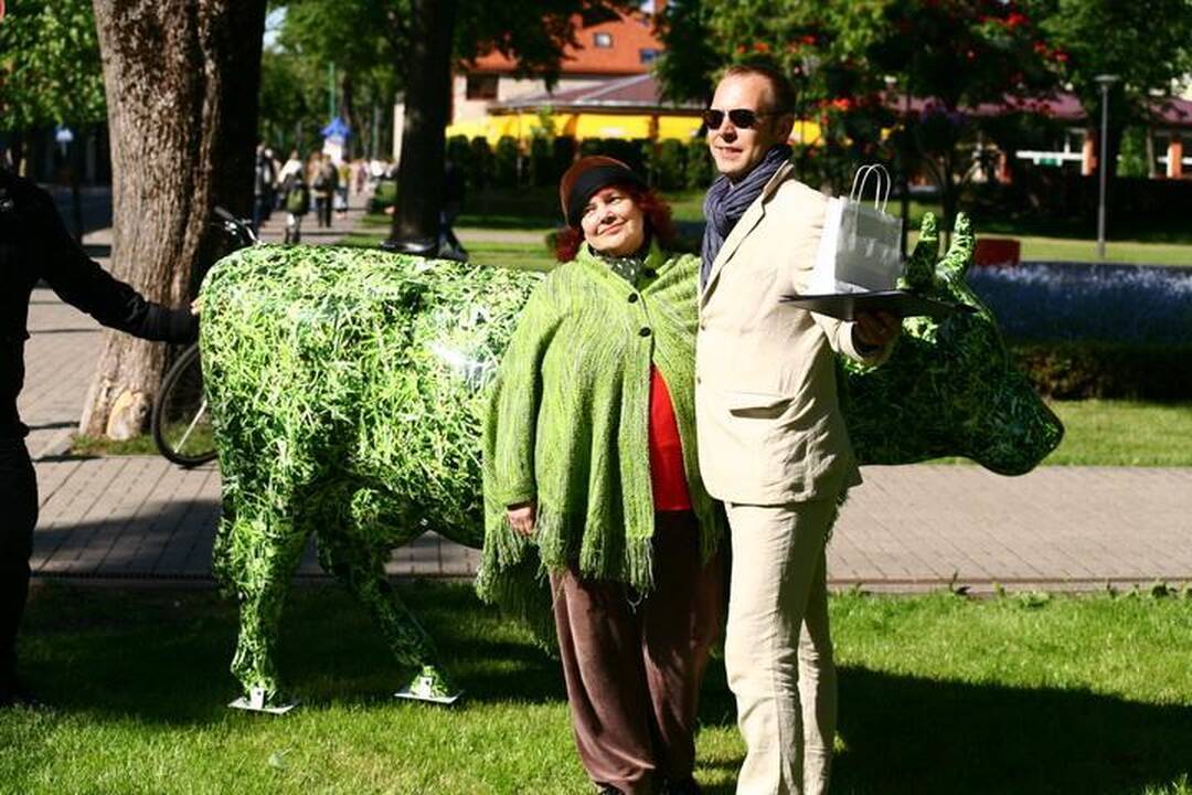 Palangos gatvėmis riedėjo spalvinga karvė